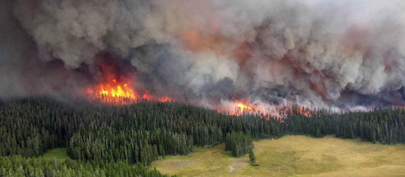 Σε 54 ανήλθαν οι πυρκαγιές το τελευταίο 24ωρο - Οριοθετημένη η φωτιά στο Γραμματικό